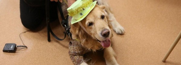 Если вы пропустили: лес в пробирке, капсула из космоса и собаки-врачи