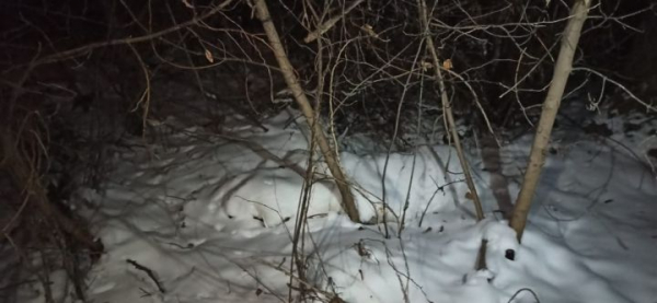 В суд передали дело о забитой насмерть из-за дорогого автомобиля женщины