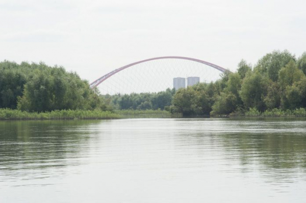 Строитель новосибирского Бугринского моста потребовал банкротства своего учредителя