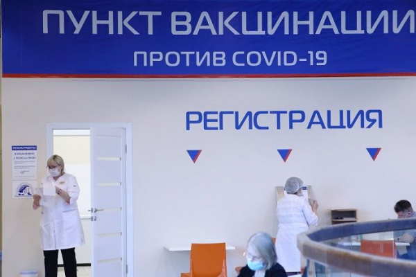 17 уголовных дел о подделке документов по COVID-19 завели в Новосибирской области