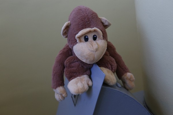 Афиша выходных: &laquo;Звёздные имена&raquo;, Октоберфест и&nbsp;Книжная Сибирь