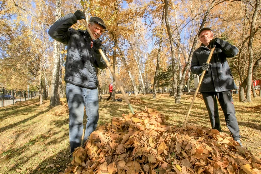 Новосибирцы собрали мусор и&nbsp;листву&nbsp;&mdash; мотивирующие фото с&nbsp;субботника