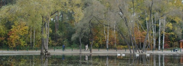 Новшества октября: техосмотр, бесплатные прививки и&nbsp;стоимость газа