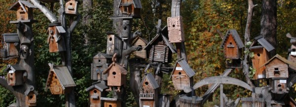 Выставку кормушек показывает зоопарк в декаду пожилого человека Выставку кормушек показывает зоопарк в декаду пожилого человека