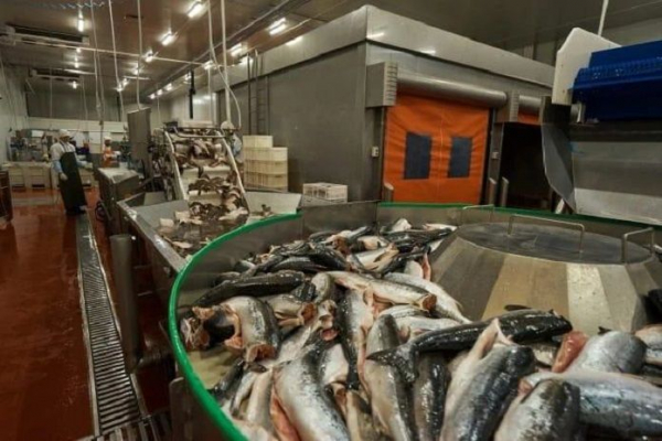 Новосибирская компания увеличила выработку в полтора раза в рамках нацпроекта