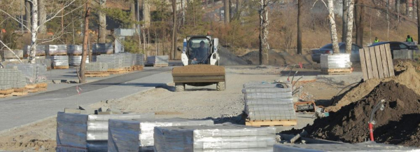 Парк у&nbsp;нового ЛДС в&nbsp;Новосибирске засадят хвойными и&nbsp;яркими ивами