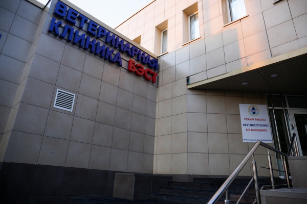 Ветеринар Сергей Горшков: «Переезд в Сибирь стал лучшим решением в жизни» Ветеринар Сергей Горшков: «Переезд в Сибирь стал лучшим решением в жизни»