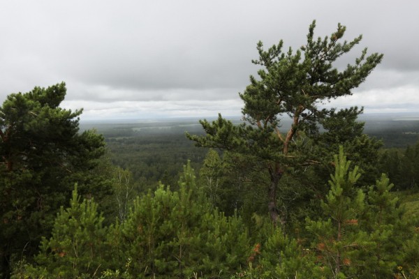 Афиша выходных: &laquo;Звёздные имена&raquo;, Октоберфест и&nbsp;Книжная Сибирь