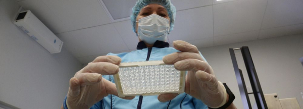 Пластиковые карты для определения группы крови показали на&nbsp;OpenBio