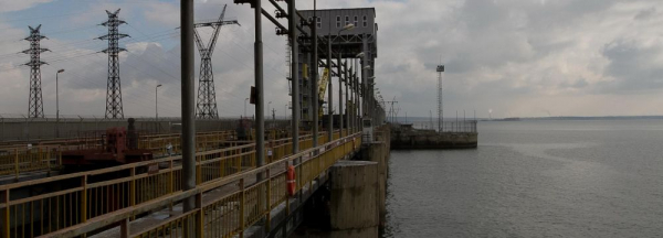 Новосибирская неделя: рука помощи, город-бузотёр и&nbsp;яркие премьеры