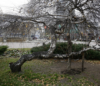 Вечерний разговор: мусорные полигоны, раздельный сбор и&nbsp;экоактивизм