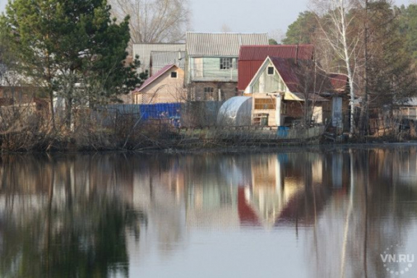 Дачная амнистия: сколько времени осталось новосибирским садоводам Дачная амнистия: сколько времени осталось новосибирским садоводам