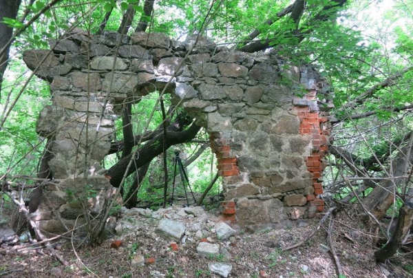 В Новосибирске руины пивзавода XX века не признали объектом культурного наследия