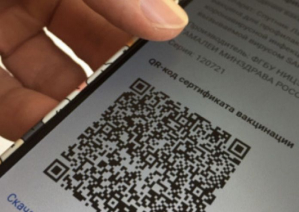 QR-коды для посещения кафе и ресторанов введут с 12 ноября в Новосибирской области