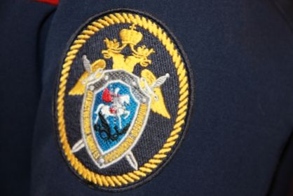 В Новосибирске по сообщению средств массовой информации организовано проведение доследственной проверки