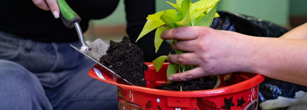 Оранжерею из&nbsp;списанных касок создали на&nbsp;ТЭЦ-3