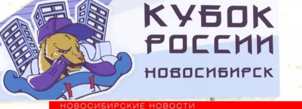 Биг-эйр: какие трюки показали на Кубке России по сноуборду в Новосибирске Биг-эйр: какие трюки показали на Кубке России по сноуборду в Новосибирске