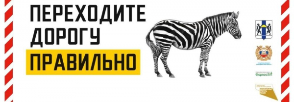 В Новосибирской области с 15 по 17 декабря пройдет профилактический рейд &laquo;Пешеходный переход&raquo;