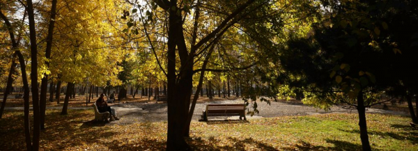 Новосибирцы попросили сохранить фонтан в&nbsp;сквере имени Калинина