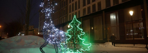 Новосибирск украсили к Новому году светящимися медведями и оленями Новосибирск украсили к Новому году светящимися медведями и оленями