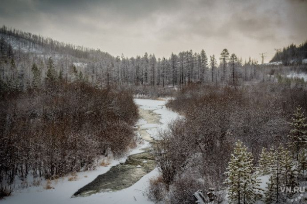Лесник обнаружил незаконный снегоотвал в Дзержинской районе Новосибирска