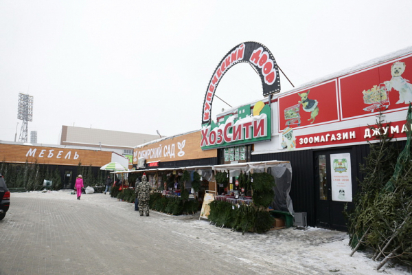 Цены на&nbsp;новогодние ёлки в&nbsp;Новосибирске выросли почти в&nbsp;два раза