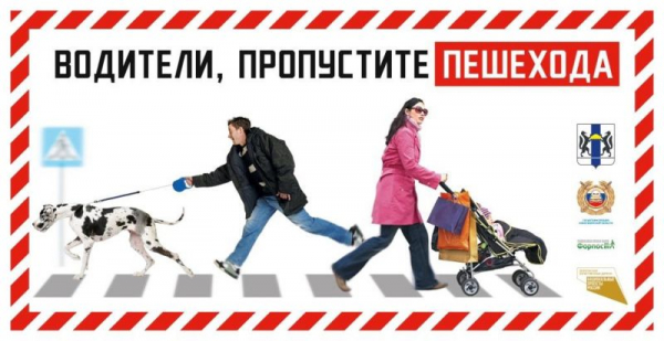 В Новосибирской области проходит оперативно-профилактическое мероприятие «Пешеходный переход» В Новосибирской области проходит оперативно-профилактическое мероприятие «Пешеходный переход»