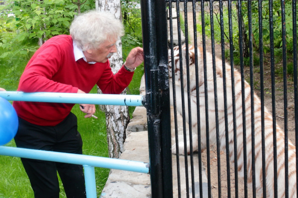 Добрый увалень и&nbsp;хозяйка горы: символ года тигр в&nbsp;зоопарке Новосибирска