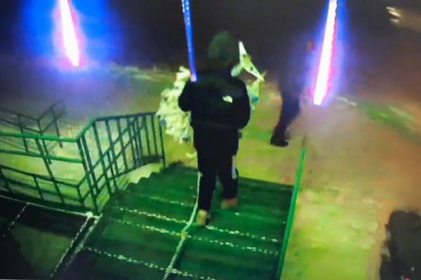 В Искитиме украли новогоднее настроение: горожане пристыдили воришек, стащивших елку