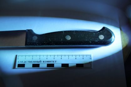 В Новосибирске мужчина обвиняется в убийстве женщины