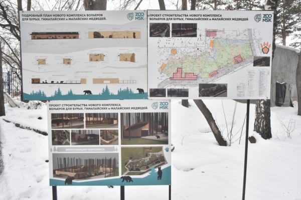  Уникальные берлоги в&nbsp;Новосибирском зоопарке достроят к&nbsp;1&nbsp;июня