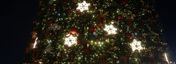 Мэр Локоть поздравляет новосибирцев с&nbsp;наступающим Новым годом