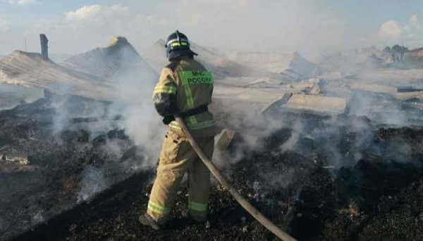 40 телят и две свиньи погибли на сгоревшей животноводческой ферме