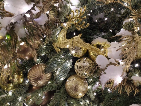 Последняя морозная ночь: оттепель идет в Новосибирскую область Последняя морозная ночь: оттепель идет в Новосибирскую область