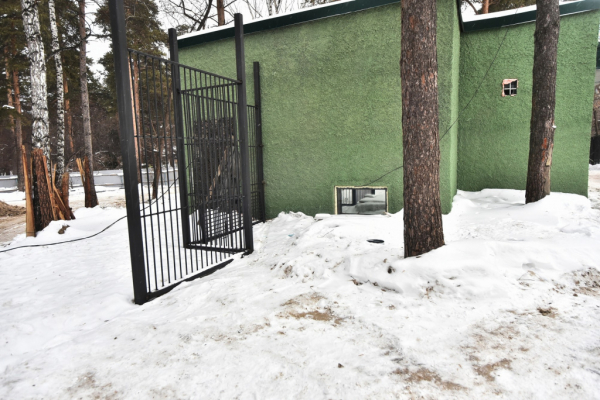  Уникальные берлоги в&nbsp;Новосибирском зоопарке достроят к&nbsp;1&nbsp;июня