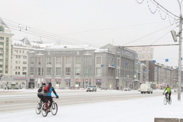 Названы 10 самых популярных товаров 2021 года в Новосибирске