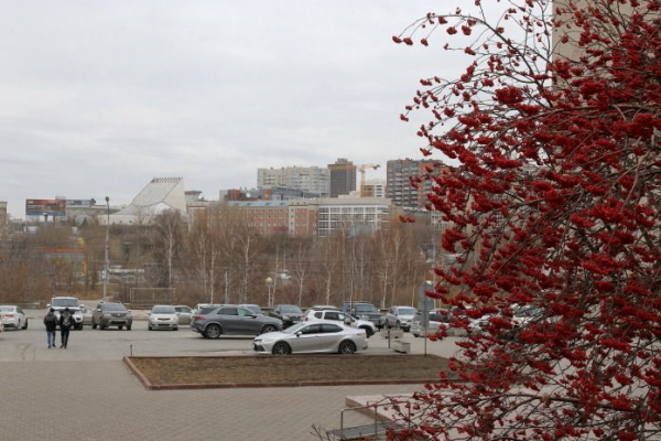 Мэрия Новосибирска изымает участок земли рядом с Заксобранием Мэрия Новосибирска изымает участок земли рядом с Заксобранием