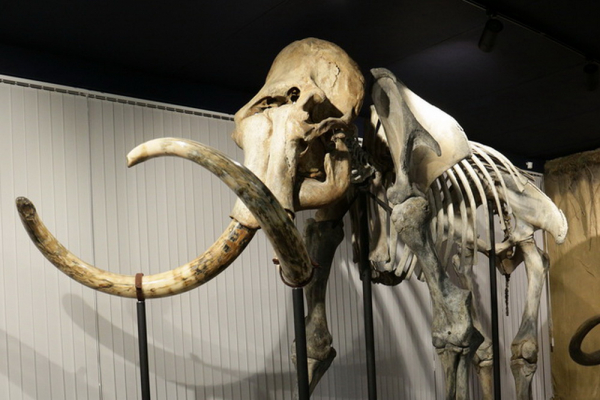 Афиша выходных: Иглу-2022, мафия для влюблённых и двухэтажные выставки Афиша выходных: Иглу-2022, мафия для влюблённых и двухэтажные выставки