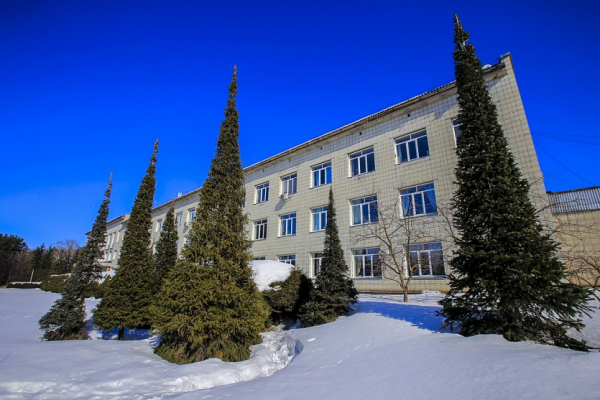 Стрижку для ёлочек на&nbsp;площади Ленина репетируют в&nbsp;ботсаду