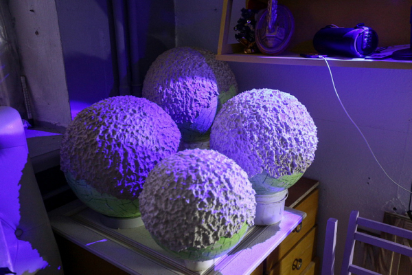 Дом с&nbsp;творческими мастерскими: как рождается новосибирское искусство