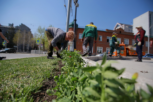 Вечерний разговор: открытие Заельцовского парка, новые цветы и&nbsp;Сад памяти