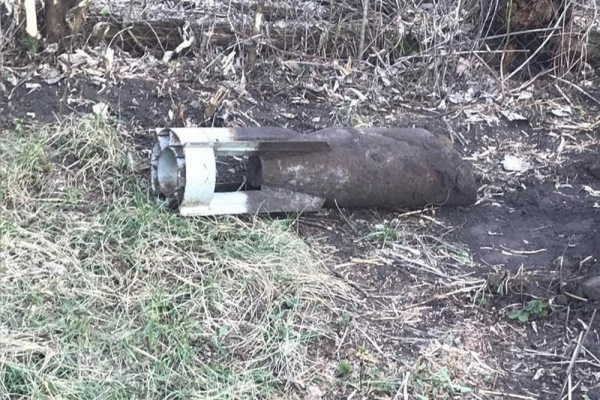Неразорвавшуюся авиабомбу нашли на&nbsp;огороде в&nbsp;Новосибирской области