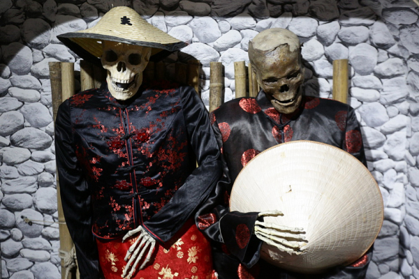 Чем удивила Ночь музеев в&nbsp;Новосибирске в&nbsp;2022 году