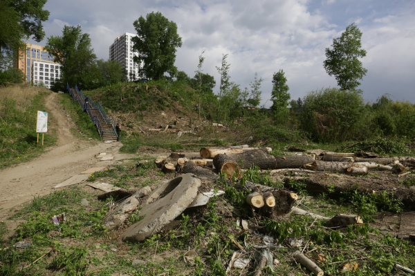 Как в&nbsp;пойме Каменки создают уникальный парк с&nbsp;уточками и&nbsp;мельницами