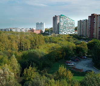 Вечерний разговор: открытие Заельцовского парка, новые цветы и&nbsp;Сад памяти