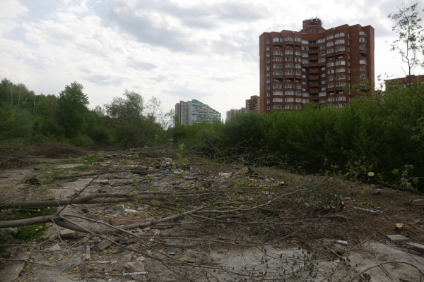 Как в&nbsp;пойме Каменки создают уникальный парк с&nbsp;уточками и&nbsp;мельницами