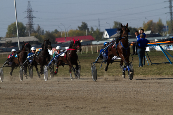 Афиша выходных: гонки байкеров, искусство троглодитов, ставки на&nbsp;рысаков