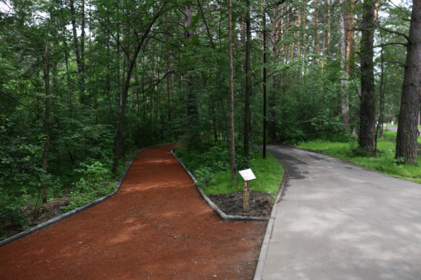 Заельцовский парк открыли для новосибирцев после реконструкции