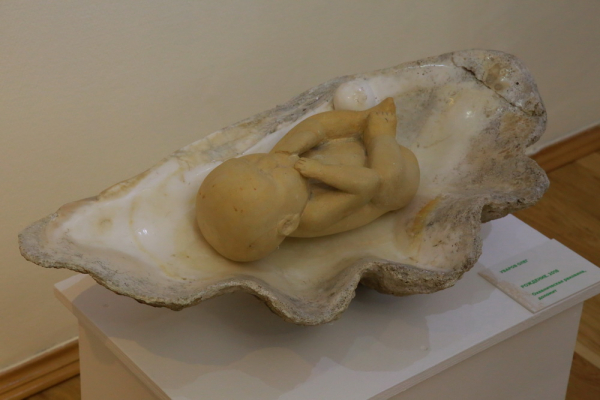 Обезьянки в&nbsp;тазиках умилили новосибирцев на&nbsp;выставке &laquo;Изумрудного Будды&raquo;