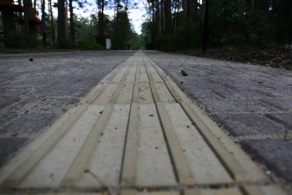 Реконструкция Заельцовского парка обойдётся почти в&nbsp;200 млн рублей